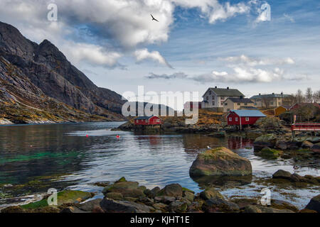 Parte dal villaggio di Nusfjord nell isola di Flakstad, Lofoten Foto Stock