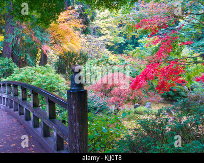 Portland giardino giapponese Foto Stock