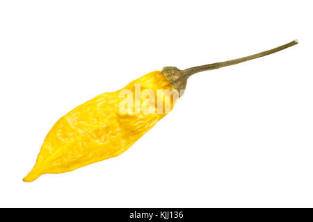 Essiccato aji lemon drop peperoncino (capsicum baccatum). vista superiore, tracciato di ritaglio Foto Stock