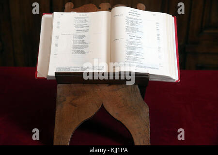 Auxerre cattedrale dedicata a Santo Stefano. La Bibbia. La Francia. Foto Stock