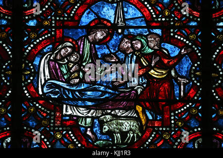 Auxerre cattedrale dedicata a Santo Stefano. Finestra di vetro colorato. La natività. Adorazione dei pastori. La Francia. Foto Stock