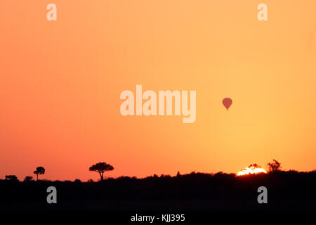 Il sorgere del sole sulla savana. Masai Mara Game Reserve. Kenya. Foto Stock