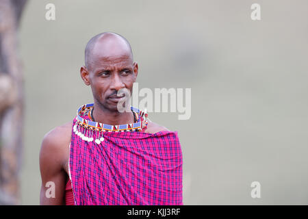 Masai uomo colorato che indossa gli abiti tradizionali. Ritratto. Masai Mara Game Reserve. Kenya. Foto Stock