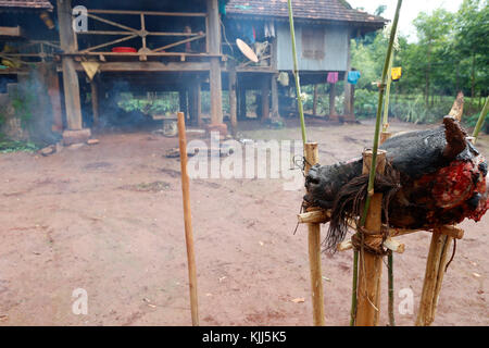 Jarai (Gia Rai) gruppo etnico. Buffalo sacrificio per i riti funebri. Kon Tum. Il Vietnam. Foto Stock