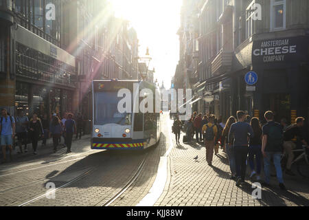 Sole autunnale sul Leidsestraat, ad Amsterdam, nei Paesi Bassi Foto Stock