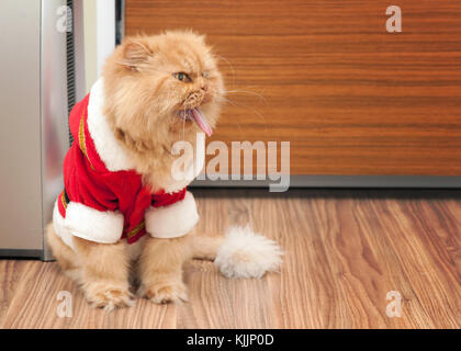 Babbo Natale gatto è sbadigli Foto Stock