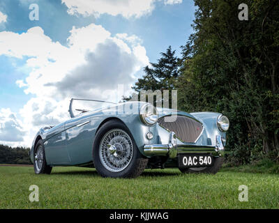 Austin Healey del 1950, 100/4 Foto Stock