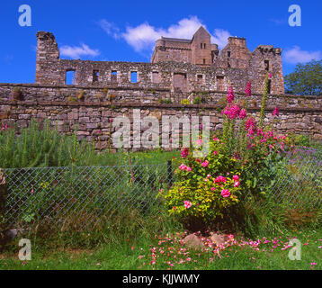 Una bella estate scena di Castle Campbell situato nel pittoresco dollar glen, clackmannanshire Foto Stock