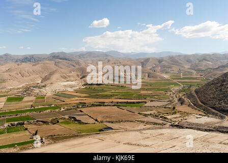 Vista sul campo terrazze in Perù, il Canyon del Colca. Il secend wolds canyon più profondo a 3191m. il canyon è impostato tra gli alti vulcani e varia da 100 Foto Stock