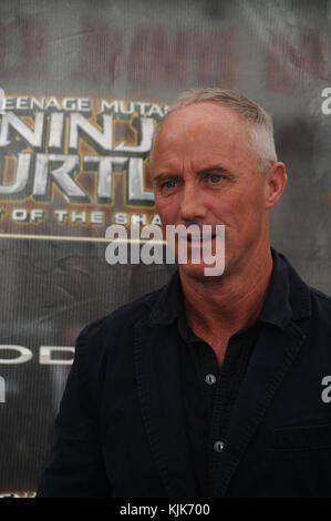 NEW YORK, NY - 22 MAGGIO: Robert John Burke partecipa alla prima mondiale di "Teenage Mutant Ninja Turtles: Out of the Shadows" al Madison Square Garden il 22 maggio 2016 a New York City People: Robert John Burke Foto Stock