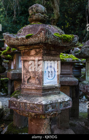 Kasuga Taisha è famosa per le sue numerose lanterne che sono state donate da adoratori. Molte lanterne in bronzo all'interno del santuario e 3000 lanterne di pietra li Foto Stock