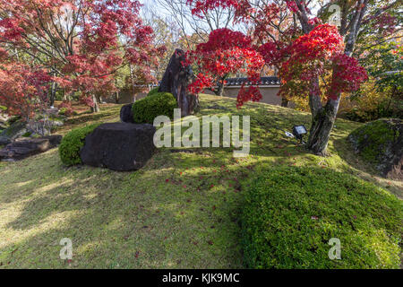 Kokoen è relativamente moderna giardino giapponese, aperto nel 1992 sul vecchio sito di del signore feudale del west residence nishi-oyashiki al castello di Himeji Foto Stock