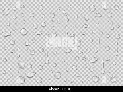 Gocce d'acqua sfondo trasparente. pulire la goccia di condensa. Acqua realistica di sfondo illustrazione vettoriale Illustrazione Vettoriale