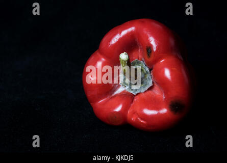 Rosso pepe ammuffito isolata su uno sfondo nero Foto Stock