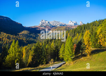 Vista delle 5 torri montagne sullo sfondo si vede dal passo Falzarego in un paesaggio autunnale nelle dolomiti, italia. montagne, abeti e al di sopra di tutto la Foto Stock