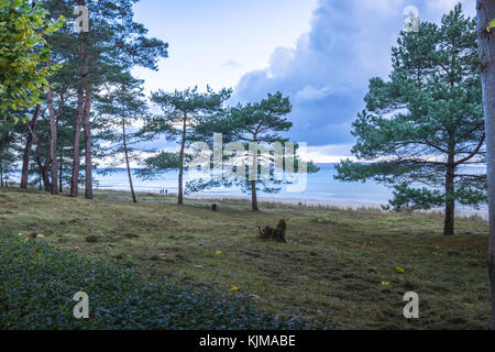 La stazione balneare di Binz in inverno, Germania Foto Stock