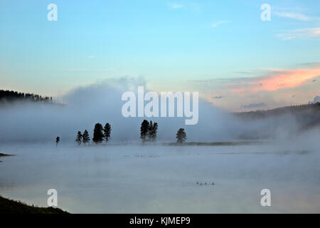 Wy02659-00...wyoming - nebbia mattutina oltre il fiume Yellowstone nel hayden vallata del parco nazionale di Yellowstone. Foto Stock