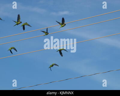 Mockingbird station trail collegamenti con ron kirk bridge park Foto Stock