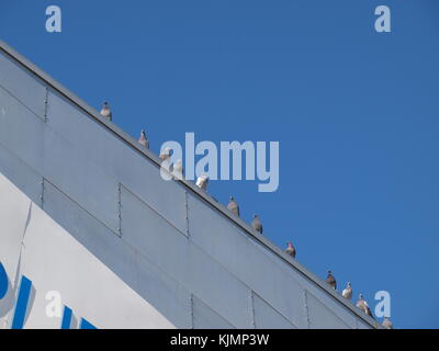 Mockingbird station trail collegamenti con ron kirk bridge park Foto Stock