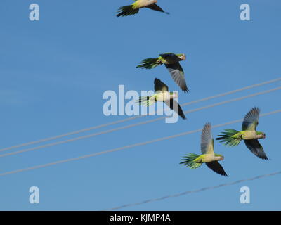 Mockingbird station trail collegamenti con ron kirk bridge park Foto Stock