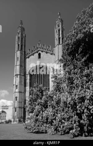 King's College Chapel on King's Parade Cambridge con cavallo castagno in fiore Foto Stock