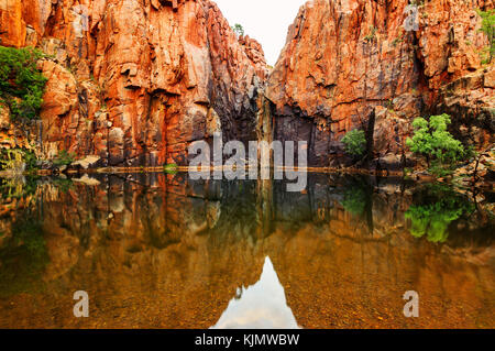 Pool di Python in Millstream Chichester National Park. Foto Stock