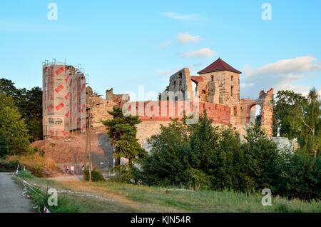 RUDNO, POLONIA - 13 AGOSTO 2017: Vecchie rovine del castello di Tenczyn a Rudno, Polonia. Foto Stock