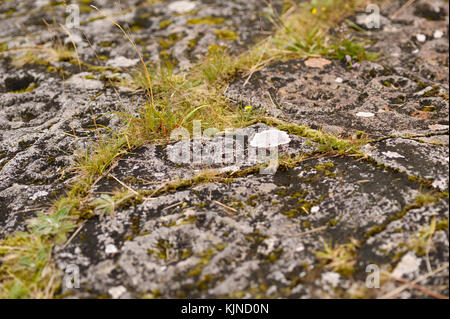 Ormaig rocce con antica Cup e la corona segna oltre 4000 anni Foto Stock