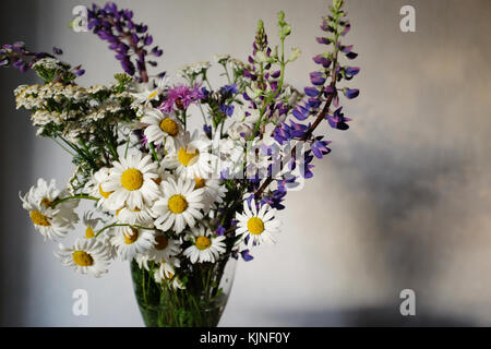 Bouquet di fiori di campo in un vaso su uno sfondo neutro Foto Stock