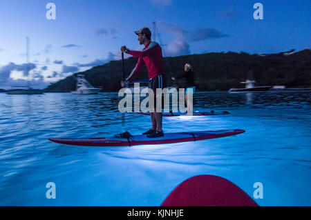 Standup paddle boarding a Cruz Bay, San Giovanni, Isole Vergini Americane Foto Stock