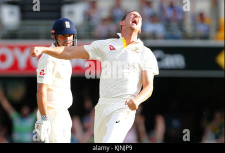 Josh Hazelwood dell'Australia celebra il wicket dell'Alastair Cook dell'Inghilterra durante il terzo giorno della partita degli Ash Test al Gabba, Brisbane. Foto Stock