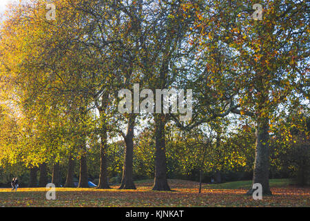Paesaggio autunnale con il cambiamento delle foglie e la luce del sole lo streaming attraverso gli alberi. Foto Stock
