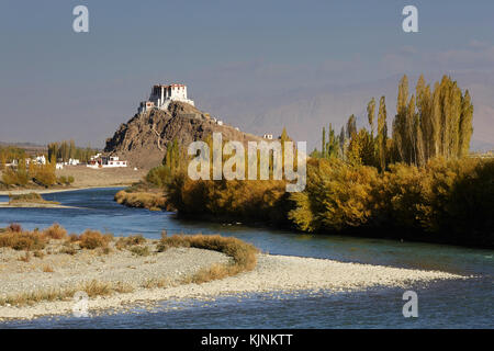 Stakna Monastero a valle del Indus in Leh, Ladakh, Jammu e Kashmir India Foto Stock