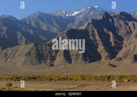 Vista del paesaggio Ladakhi in caduta, Thiksey, Leh, Jammu e Kashmir in India. Foto Stock