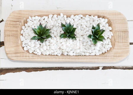 Succulente, bianco pepples e tabella vintage Foto Stock