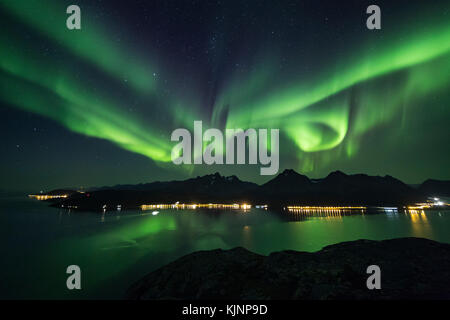 Enormi luci del nord oltre il grande alpi lyngen nel nord della Norvegia Foto Stock