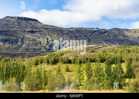 Viaggio in Islanda - montagne vicino haukadalur geyser valley in settembre Foto Stock