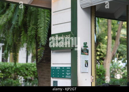 Un cartello invita a non prelevare i gatti a Ernest Hemingway House di key west, Florida. Foto Stock