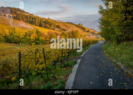 Tramonto sul lago di ginevra e sui vigneti di Lutry, vicino a Losanna, con colori gialli autunnali Foto Stock