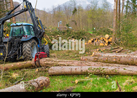 La raccolta di tronchi con un braccio meccanico in una foresta. gru per agguantare log tagliati Foto Stock