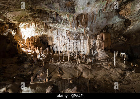 Famosa grotta Postojna in Slovenia con stalattiti e stalagmiti Foto Stock