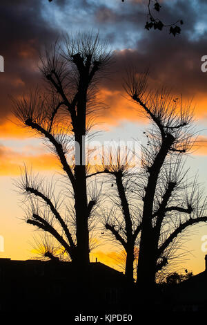 Londra REGNO UNITO. Il 25 novembre 2017. Un drammatico pomeriggio cielo come le temperature sono impostati per precipitare con il Met Office il rilascio di ghiaccio e neve avviso per molte parti della Gran Bretagna Credito: amer ghazzal/Alamy Live News Foto Stock