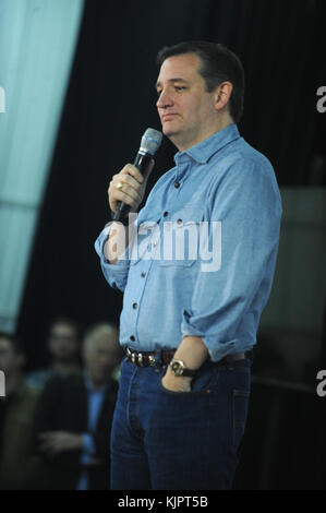 IOWA CITY, IA - GENNAIO 31 : il candidato repubblicano alla presidenza Ted Cruz parla durante una campagna alla fiera della contea di Johnson il 31 Gennaio 2016 a Iowa City, Iowa. Cruz sta facendo una campagna in tutto lo stato alla vigilia dei caucases dello Iowa. Persone: Ted Cruz Foto Stock