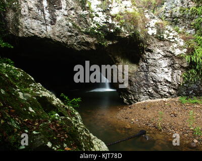 Il ponte naturale e cascata di Springbrook National Park, Australia Foto Stock