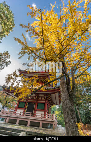 Ichou (ginkgo tree) i colori autunnali, la caduta delle foglie e iscrizioni: rei-per "acquavite di torre' a taho-a pagoda della chion-nel tempio, higashiyama, Kyoto, Foto Stock