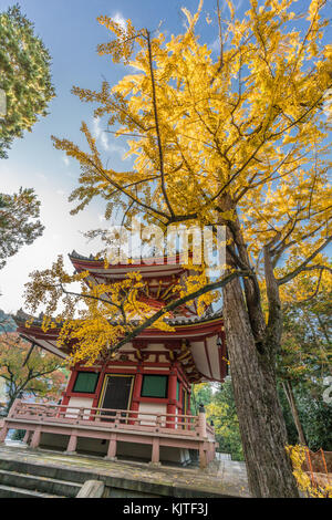 Ichou (ginkgo tree) i colori autunnali, la caduta delle foglie e iscrizioni: rei-per "acquavite di torre' a taho-a pagoda della chion-nel tempio, higashiyama, Kyoto, Foto Stock