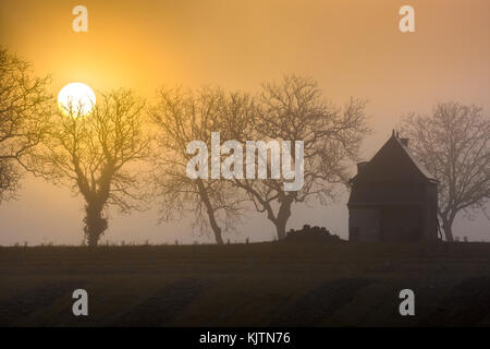 Sunrise attraverso la nebbia di mattina - Francia. Foto Stock
