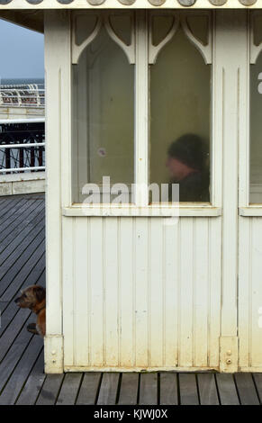 Un uomo seduto sotto un riparo di legno con il suo cane che guarda al mare sul molo vittoriano struttura a Cromer in Norfolk sulla costa. Foto Stock