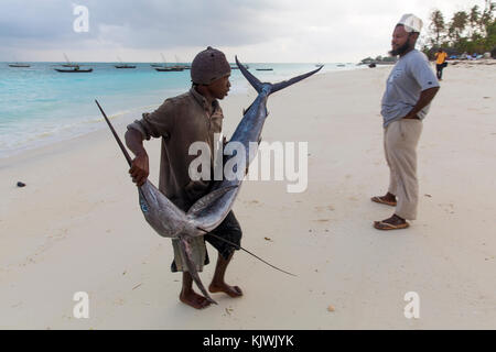 Nungwe, Zanzibar, Tanzania; i pescatori saluta un commerciante di pesce come egli porta un prezioso sailfish ha appena pescato a vendere al mercato locale. Foto Stock