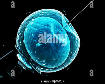 Iniezione di cellule - Fecondazione artificiale. Puntura di ago la membrana cellulare. Spermatozoo nell'uovo. Isolato su sfondo nero. 3D render Foto Stock